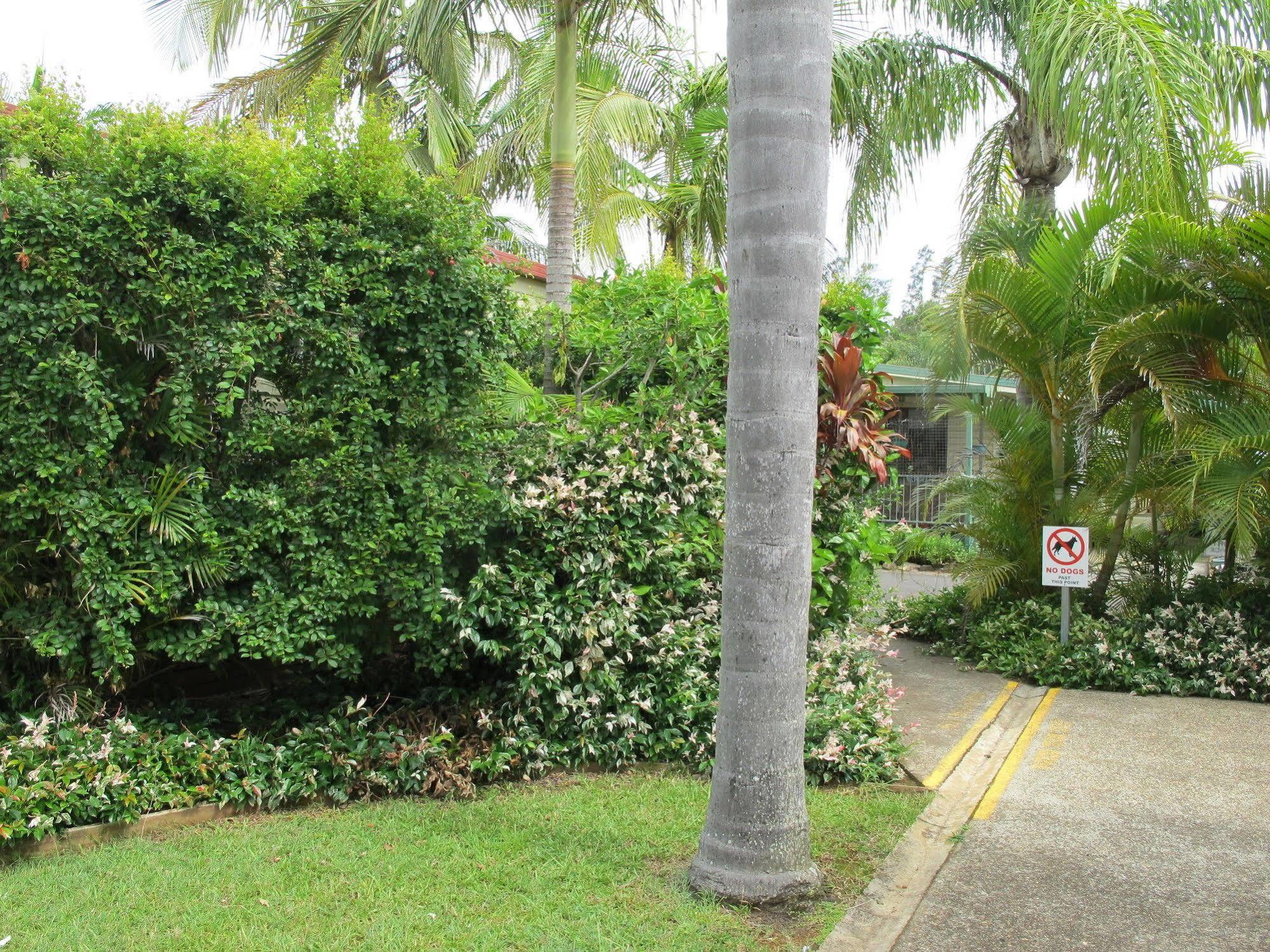 Melaleuca Caravan Park ميناء ماكواري المظهر الخارجي الصورة